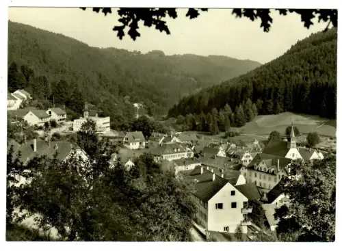 AK Bad Teinach im Schwarzwald, Teilansicht - 10461