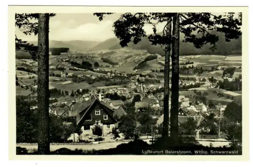 AK Baiersbronn, Panorama, 10646