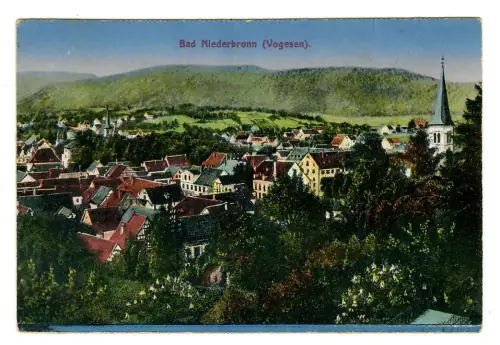 AK Bad Niederbronn, Vogesen, Panorama, 11751