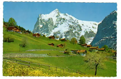 AK Grindelwald, Teilansicht mit Wetterhorn, 11098