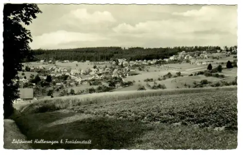 AK Hallwangen, Panorama, 10674