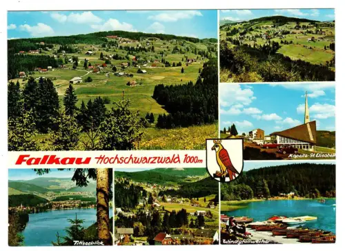 AK Falkau Schwarzwald, SechsTeilansichten, Mehrbildkarte, 11029