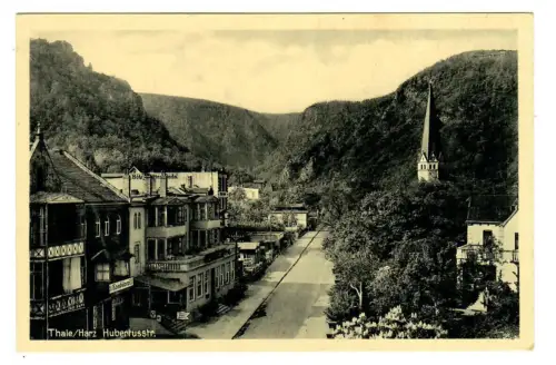 AK Thale, Hubertus Strasse, 11166