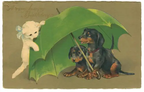 AK Geburtstag, Dackel unterm Regenschirm mit Kätzchen, 30706