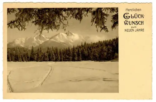 AK Neujahr, Winter in den Bergen, 20267