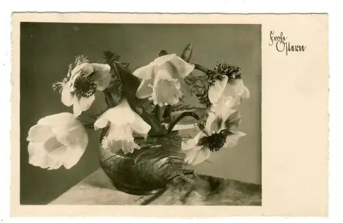AK Ostern, Blumentopf mit Osterglocken, 12163