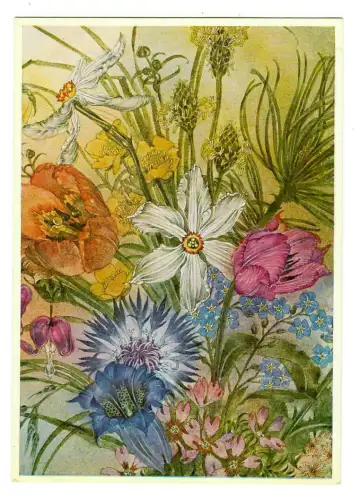 Künstler AK Sulamith Wülfing: Narzisse, 30096