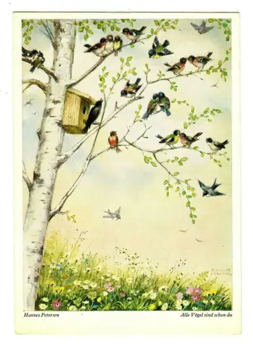 Künstler AK Hannes Petersen: Alle Vögel sind schon da, Wiechmann, 30187