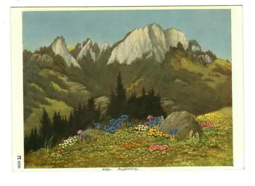 Künstler AK Hely (Wilhelm Kronenbitter): Bergfrühling, Ackermann, 30231