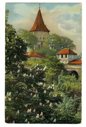 Künstler AK, Photochromie, Kirche mit blühender Landschaft, DO&N 1898, 30602