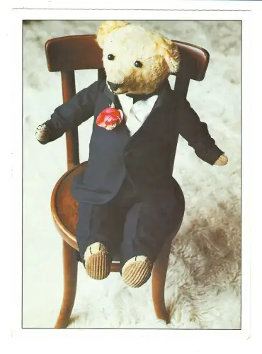 Künstler AK Jürgen Sophn, Teddy Bär im Anzug mit Rose, 30549