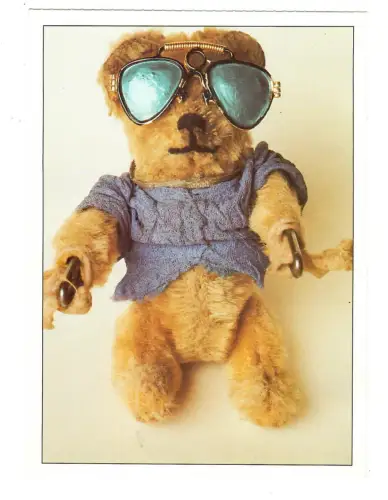 Künstler AK Jürgen Sophn, Teddy Bär mit Sonnenbrille, 30545