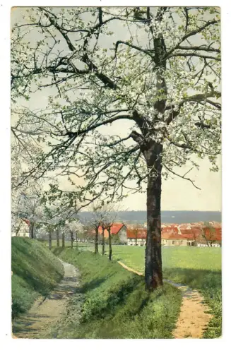 Künstler AK, Frühling am Dorfrand, DO&N 1567, 30603