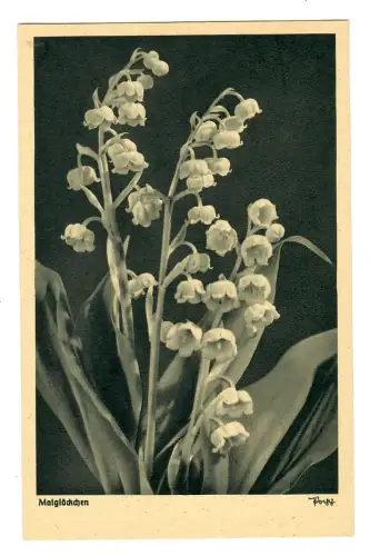 AK Maigöckchen, Popp Verlag, 11891