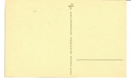 AK Rosen, Popp Verlag, 11893