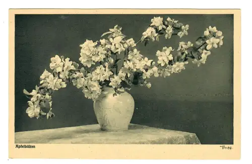 AK Apfelblüten in einer Vase, Popp Verlag, 11896