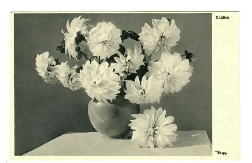 AK Dahlien, Strauß in einer Vase, Popp Verlag, 11897