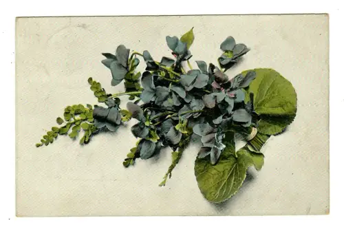 AK Veilchen Strauß, 11901