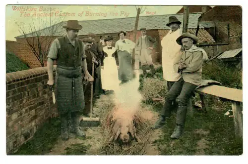 AK Wiltshire Bacon, The Anciert custom of Burning the Pig, 11136
