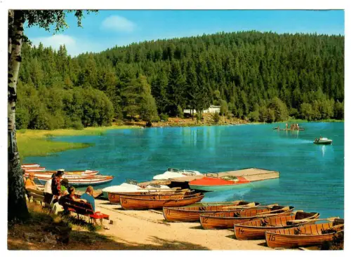 AK Altglashütten, Windgfällweiher 11032