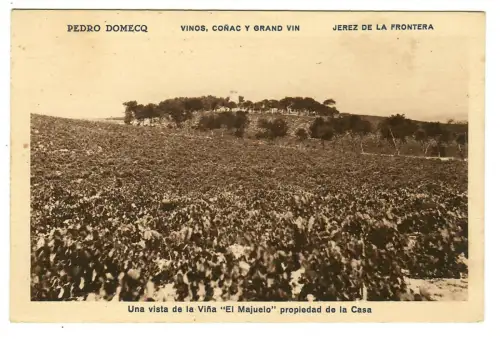 AK Jerez de la Frontera, Pedro Domecq Vinos Conac Grand Vin - 10431