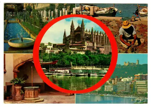 AK Palma Mallorca, Kathedrale, Teilansicht, 10962