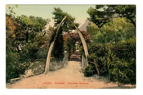 AK Gibraltar, Alameda gardens - Botanischer Garten ~ 1912, 10152