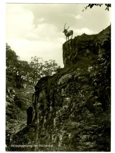 AK Hirschsprung im Höllental - Schwarzwald - 10525