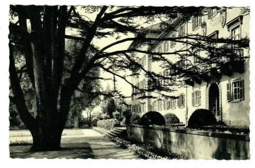 AK Bad Homburg v. d. Höhe - Schloß mit Zenderbaum - 10547