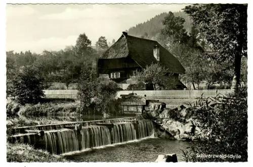 AK Schwarzwald-Idylle, typisches Schwarzwaldhaus am Bach mit Stauwehr, 10660