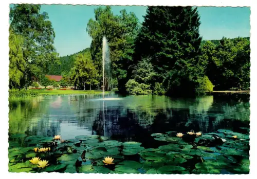 AK Bad Liebenzell im Schwarzwald, Stadtsee - 10464