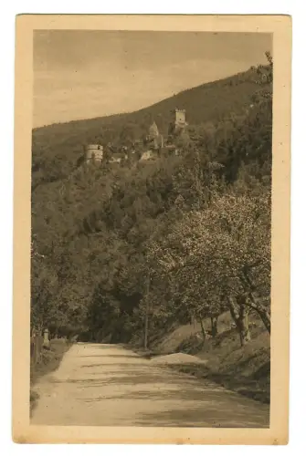 AK Freudenberg am Main, Blick auf die Burgruine, 11373