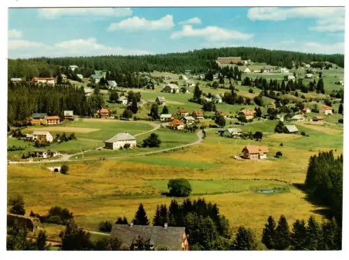 AK Falkau Schwarzwald, Teilansicht, 11028