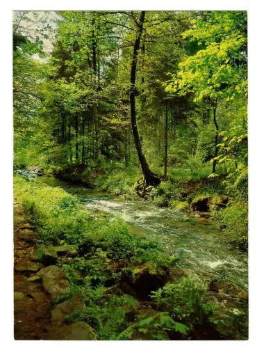 AK Monbachtal bei Bad Liebenzell, Partie im Monbachtal - 10457