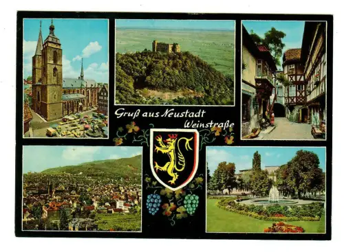 AK Neustadt an der Weinstraße, Mehrbildkarte, 10182
