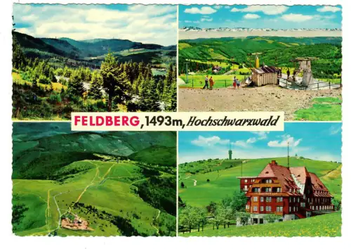 AK Feldberg, Hotel Feldberger Hof, Panorama, 10474