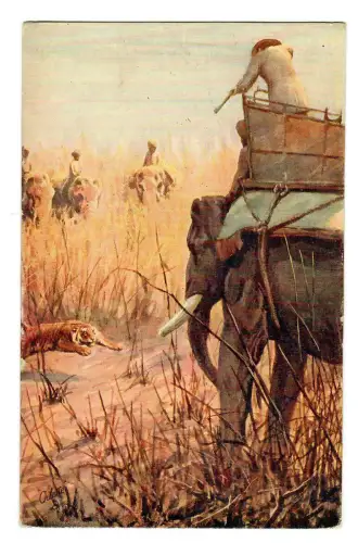 AK Indien, Tigerjagd, Jäger auf Elefant, 20085