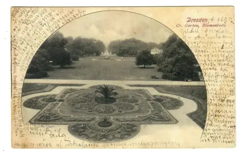 AK Dresden, Großer Garten mit Blumenbeete, 11418
