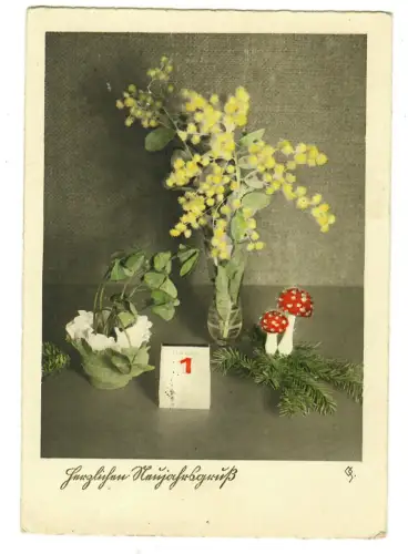 AK Neujahr, Herzlichen Neujahrsgruß, Blumen mit Glückspilzen, 20254