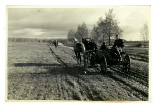 WW2, 2. WK, Wehrmacht Russland,  Foto Soldat auf Pferdewagen, 11972
