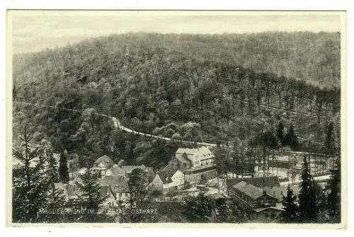 AK Harzgerode Mägdesprung im Selketal, Panorama, 10670