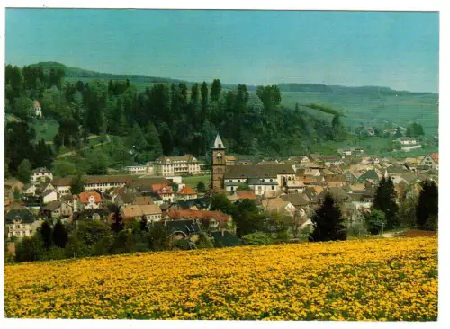 AK Elzach, Panorama, 11128
