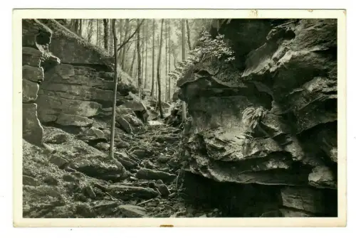 AK Zwingenberg am Neckar - Wolfsschlucht, 10080