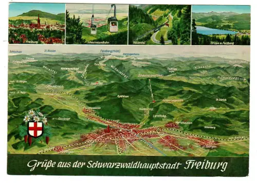 AK Freiburg, Grüße aus dem Schwarzwald, Vogelperspektive, 10985
