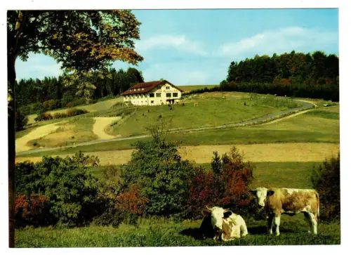 AK Waldmichelbach, Sonnen Cafe Kreidacher Höhe - 10471
