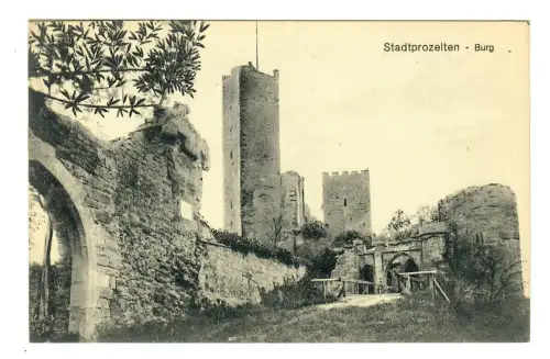 AK Stadtprozelten, Burg, 11353