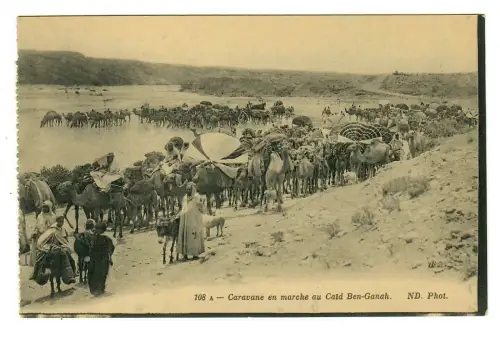 AK Algerien, Karawane Ben-Ganah, Kamele, Sahara, 10283
