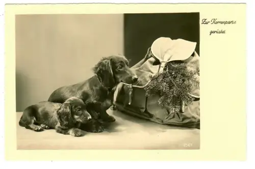 AK Humor, Dackel und Wanderrucksack, Zur Herrenpartie gerüstet, 30682