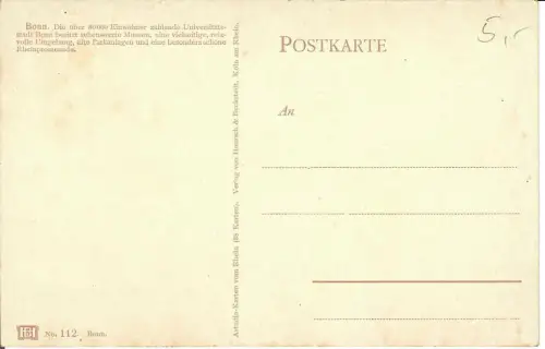 AK Bonn, Panorama mit Rheinbrücke, 11071