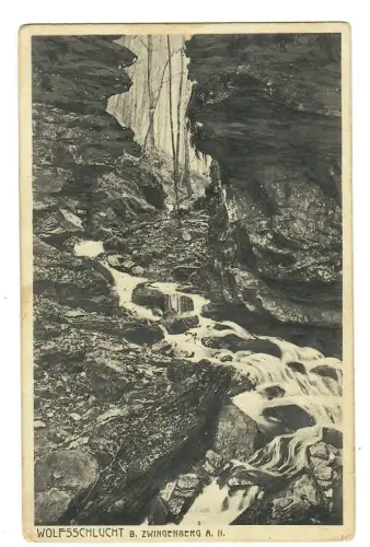 AK Zwingenberg, Wolfsschlucht, 12047